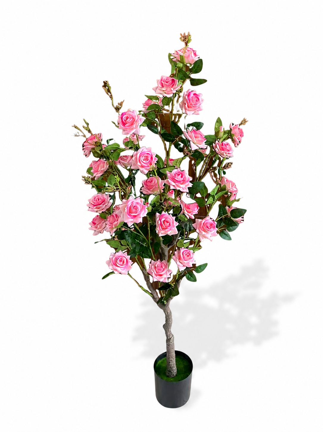 Pink Rose Tree