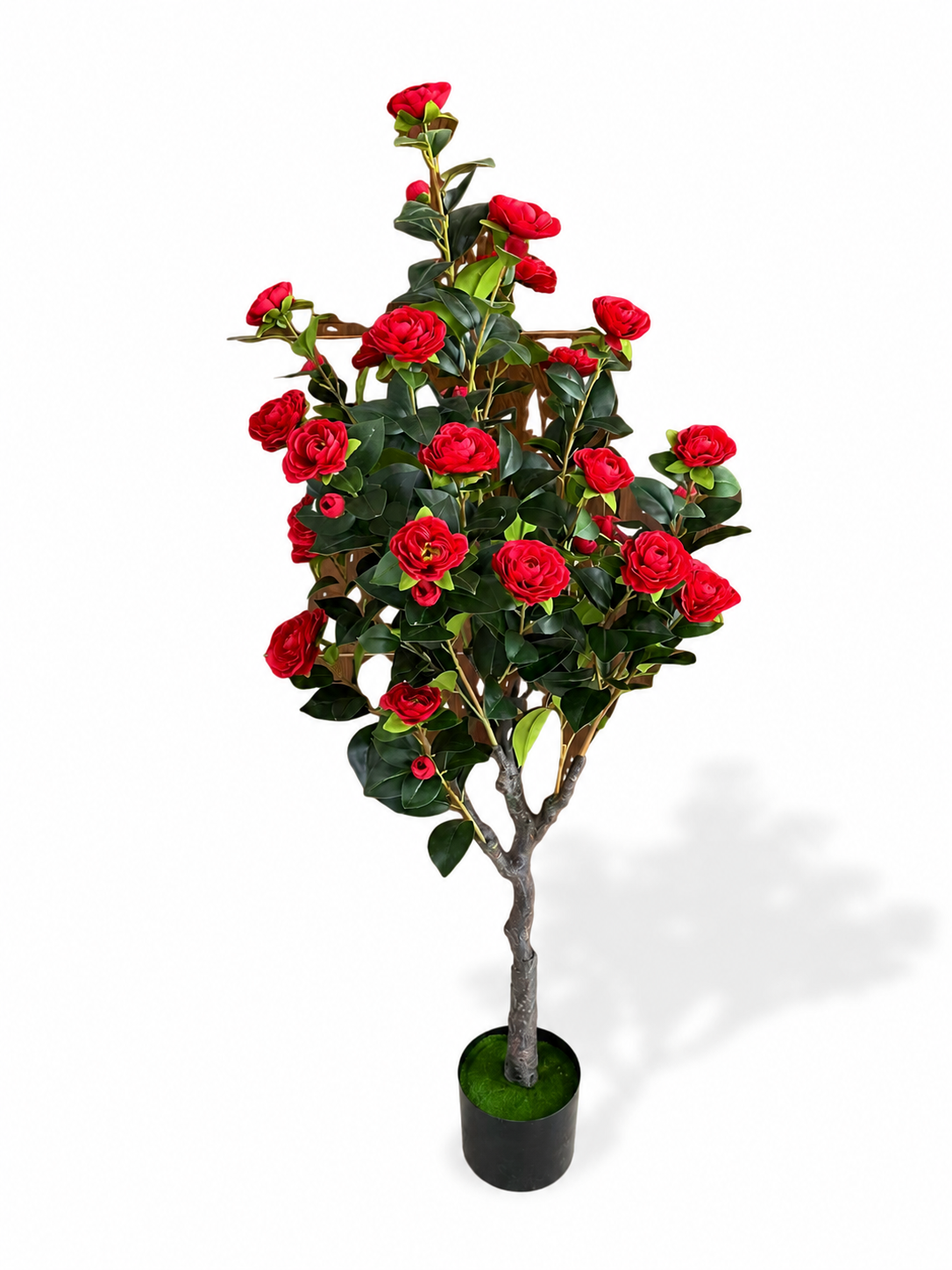 Red Rose Tree
