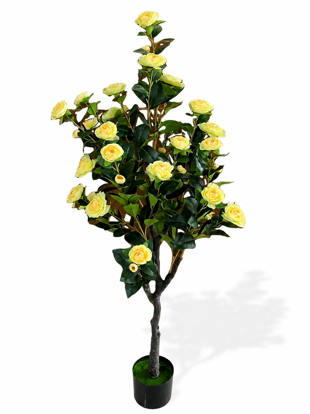 Yellow Rose Tree