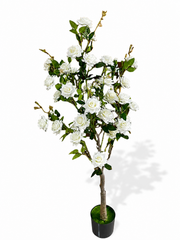 White Rose Tree